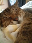 sleeping2.JPG