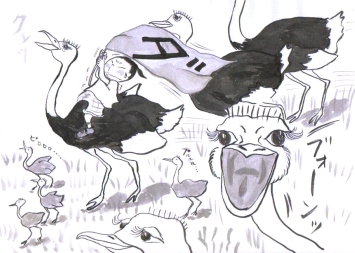 ostrich1.JPG